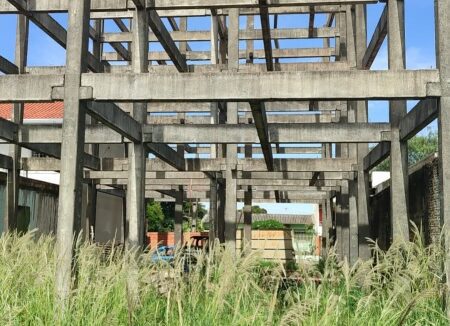 WhatsApp Image 2024-02-28 at 17.34.06 (1)